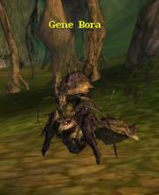 Gene Bora